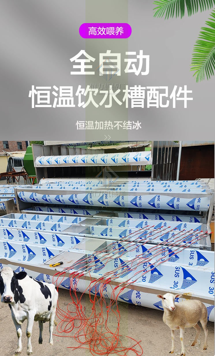 1124-6_副本.jpg