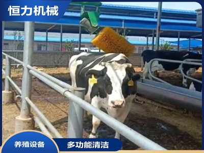 自感應(yīng)電動旋轉(zhuǎn)牛體刷工作視頻
