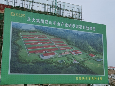 寶雞千陽縣：以奶山羊產(chǎn)業(yè)鏈發(fā)展助力鄉(xiāng)村振興