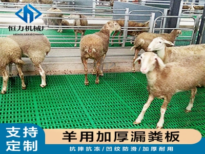 羊舍漏糞板