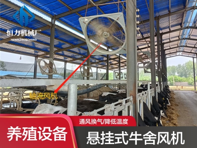 牛舍風(fēng)機(jī)正確安裝位置對(duì)牛只健康的影響