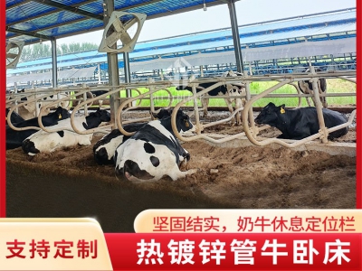 雙面牛臥欄的設(shè)計特點(diǎn)是什么