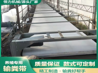 為什么羊場帶式清糞機(jī)是當(dāng)代牧場管理的新寵