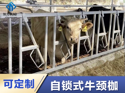 安裝熱鍍鋅牛頸夾時常見的五個錯誤