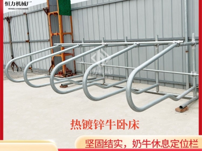 牛臥床在養(yǎng)殖業(yè)中發(fā)揮的作用
