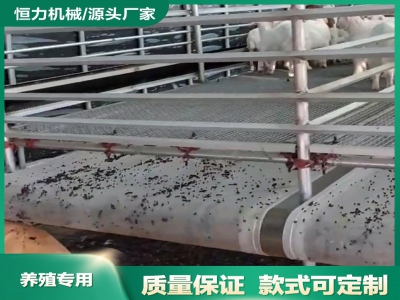 羊場自動輸糞帶在現(xiàn)代化管理中的價值