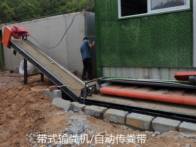 自動輸糞帶是如何解決羊場糞便清理問題的
