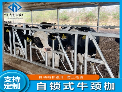 牛頸枷適用各種牛只的利器
